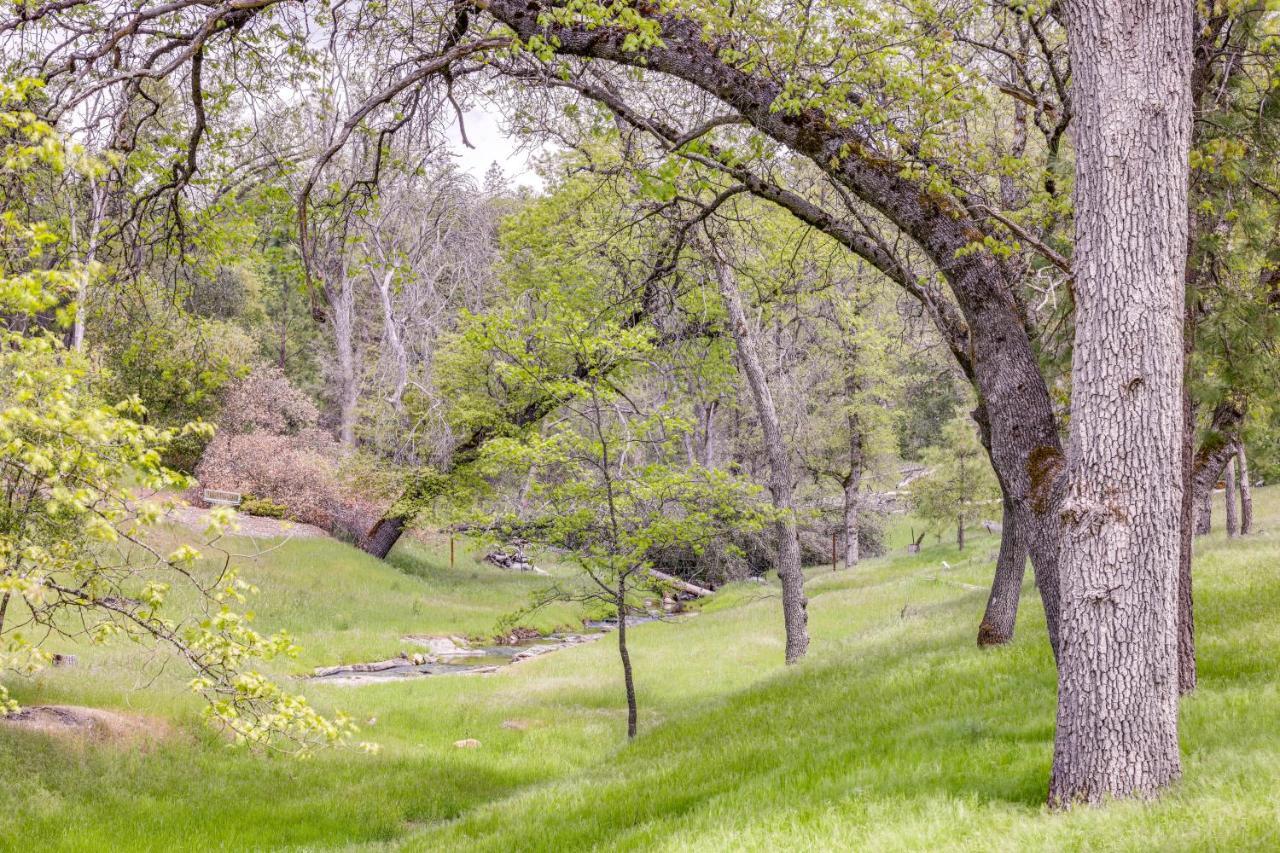 Casa vacanze Vacation About 24 Mi To Yosemite! Groveland